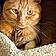 Thomas