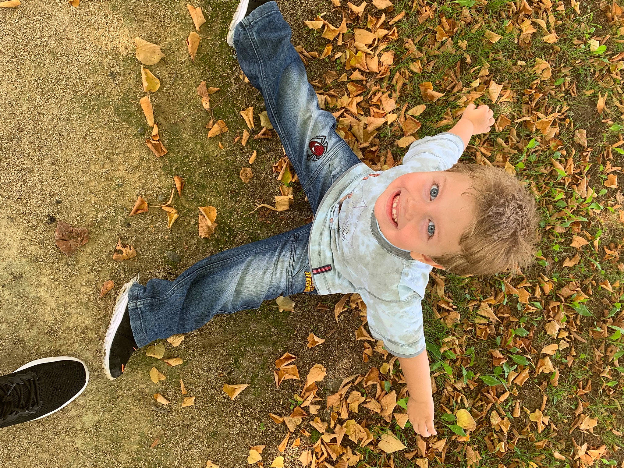 Ryley participe au concours pour gagner de l'argent avec cette photo : autumn, child, deciduous, denim, fun, gesture, grass, happy, human_leg, joy, leaf, leisure, people_in_nature, person, plant, shadow, sitting, smile, soil, toddler