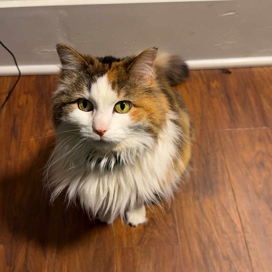 Zoey