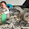 baby, cat, couch, pillow, indoor, child, furniture, animal, pet, fluffy_cat, patterned_fabric, curious, sitting, colorful, domestic, portrait, relaxed, expression, cozy, home