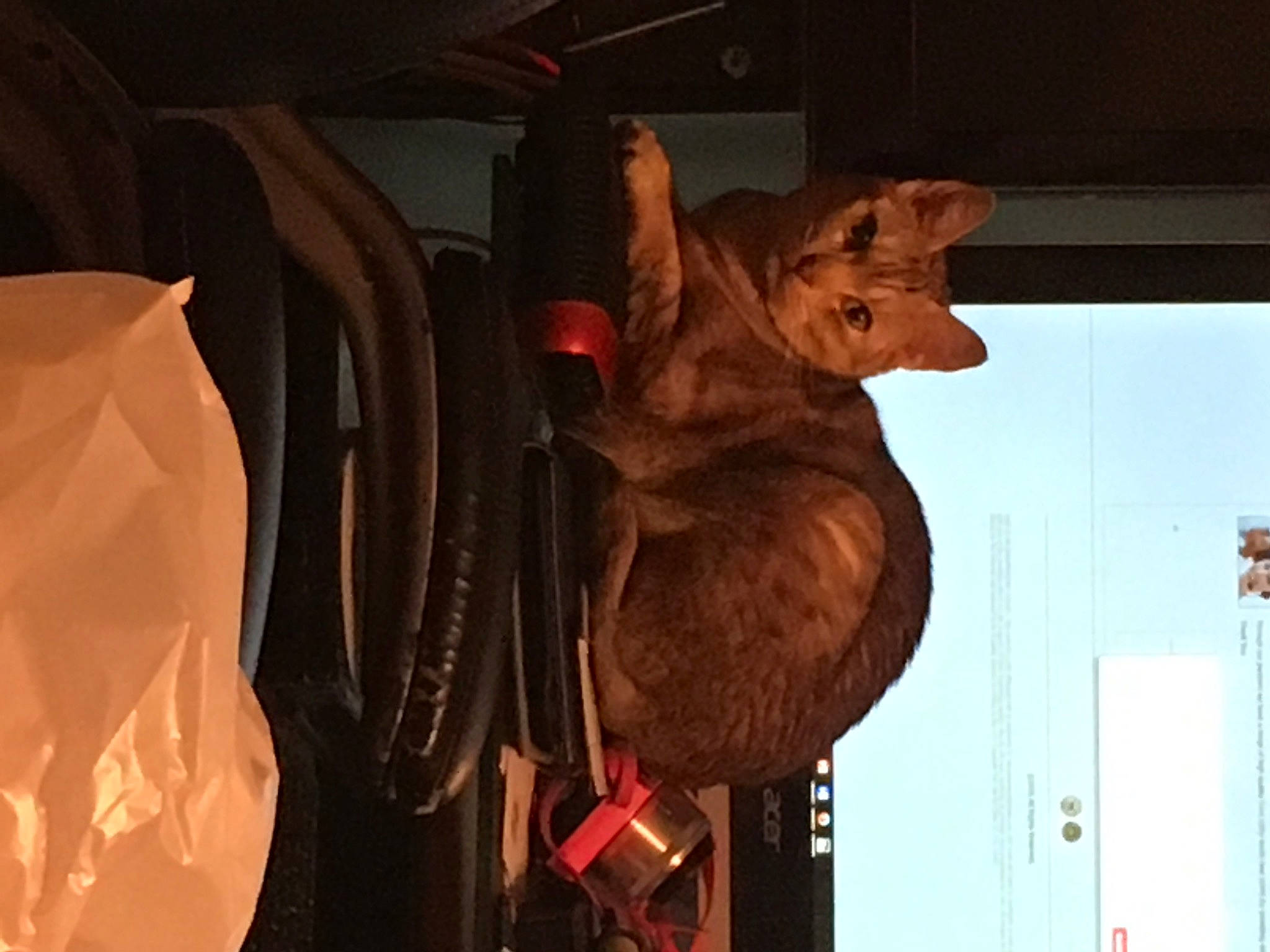 Mina is registered to the contest to win money with this photo: organism