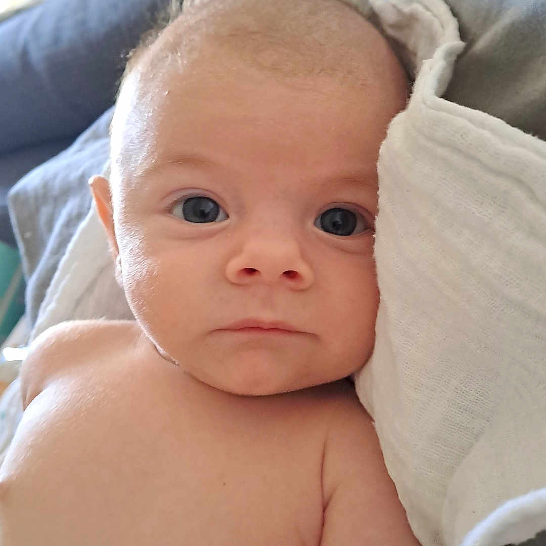 Tito a rejoint le concours — aidez-le/la à gagner de superbes lots ! baby, blanket, child, closeup, comfort, curious, cushion, expression, eyes, face, head, human, indoors, infant, newborn, person, portrait, resting, skin, soft