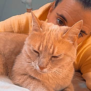Luciole participe au concours pour gagner de l'argent avec cette photo : cat, person, bed, orange_cat, sleeping, yellow_hoodie, indoor, fur, whiskers, face, resting, cozy, pet, animal, cute, closeup, human, relaxed, comfort, soft