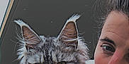 Luciole a rejoint le concours — aidez-le/la à gagner de superbes lots ! cat, person, face, fur, ears, hand, outdoor, portrait, closeup, gray_cat, tabby, animal, pet, feline, whiskers, eyes, expression, holding, cozy, calm