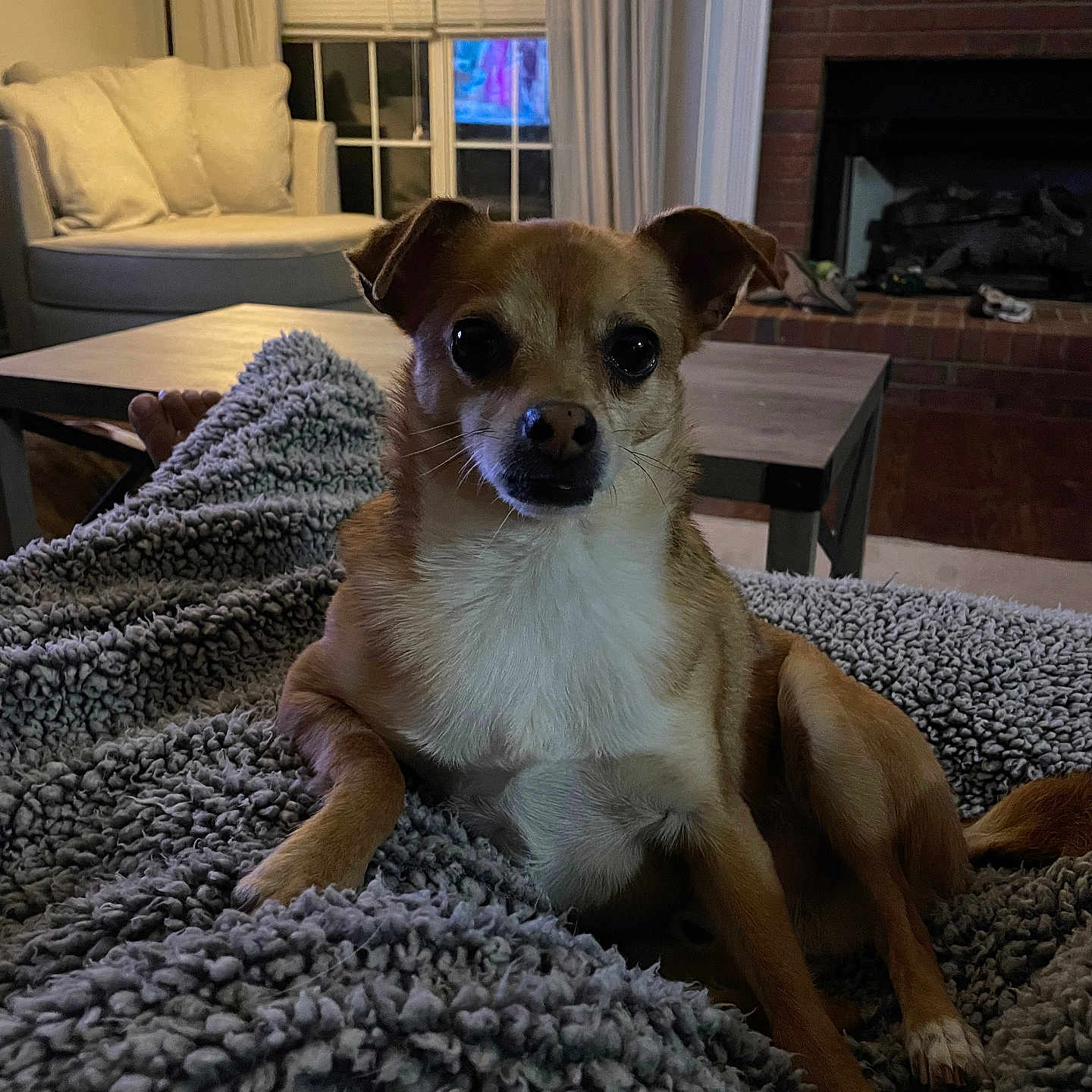 Milo
