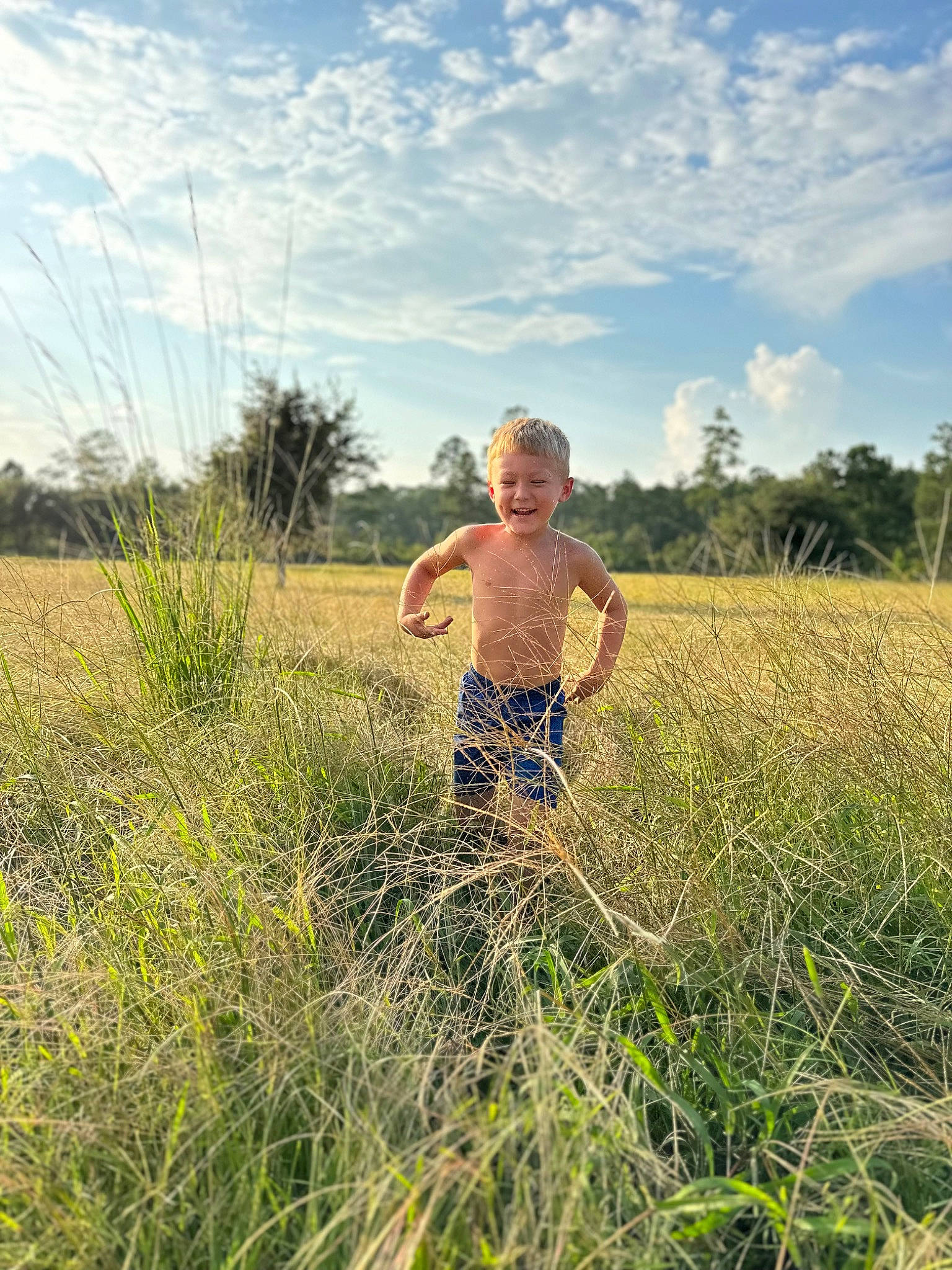 Maxton joined the competition — help win amazing prizes! agriculture, cloud, field, fun, grass, grassland, happy, joy, landscape, leisure, meadow, natural_landscape, pasture, people_in_nature, person, plain, plant, prairie, sky, sunlight