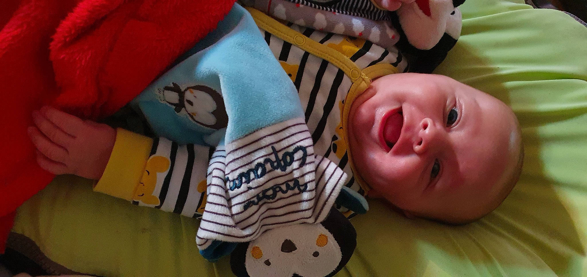 Nyno participe au concours pour gagner de l'argent avec cette photo : baby, child, person, play, toddler