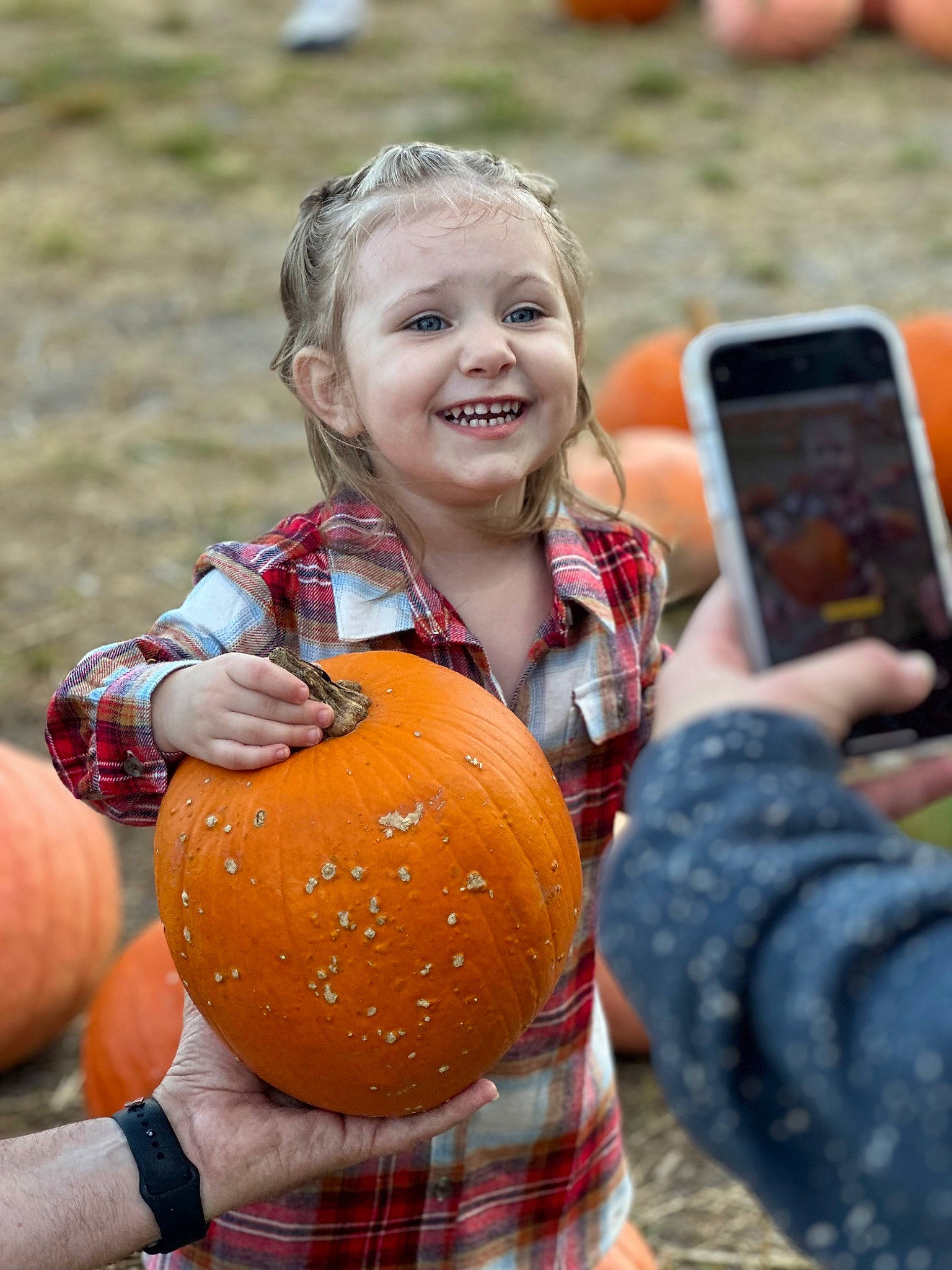 Asa is registered to the contest to win money with this photo: abdomen, child, communication_device, event, eye, face, finger, grass, hand, happy, head, joy, mobile_phone, people_in_nature, person, portable_communications_device, recreation, shorts, smile, telephony