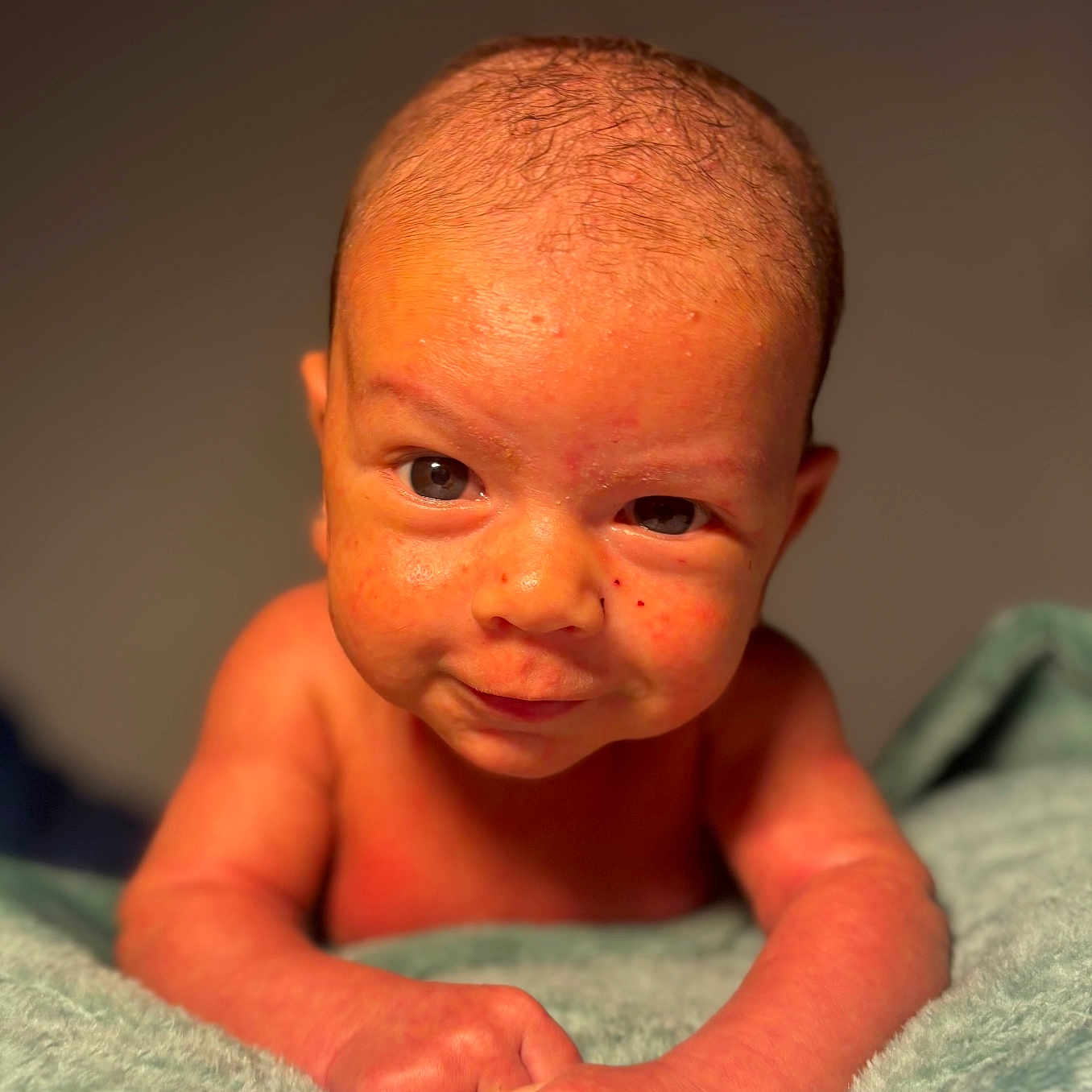Janilson participe au concours pour gagner de l'argent avec cette photo : baby, blanket, child, closeup, curious, cute, expression, face, hands, human, indoor, infant, lying_down, newborn, portrait, skin, small, soft_texture, toddler, warm_light