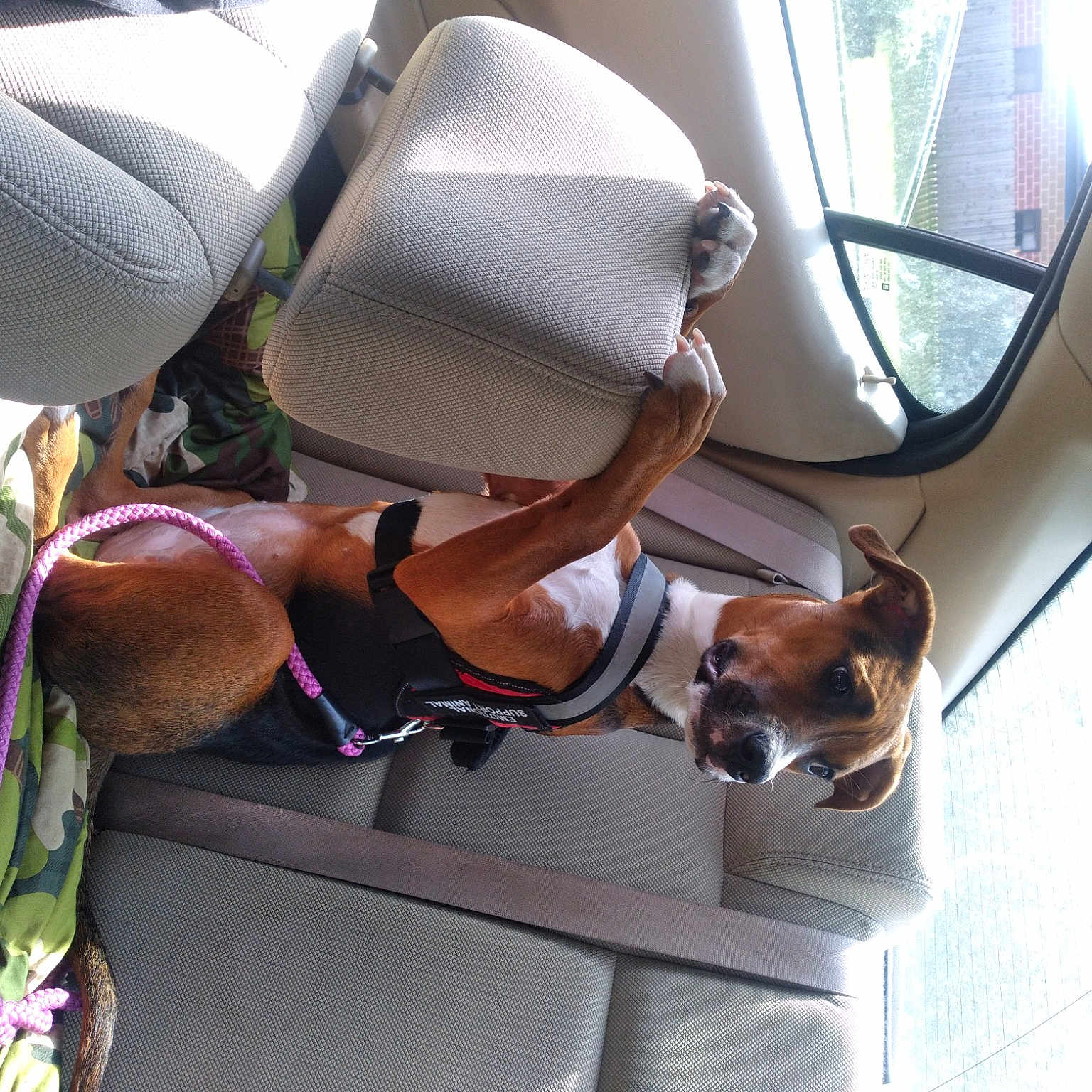 Akasha is registered to the contest to win money with this photo: auto_part, automotive_design, automotive_exterior, car_seat, car_seat_cover, comfort, eyewear, family_car, hat, head_restraint, human_leg, luxury_vehicle, mode_of_transport, motor_vehicle, steering_wheel, sun_hat, sunglasses, thigh, vehicle, vehicle_door