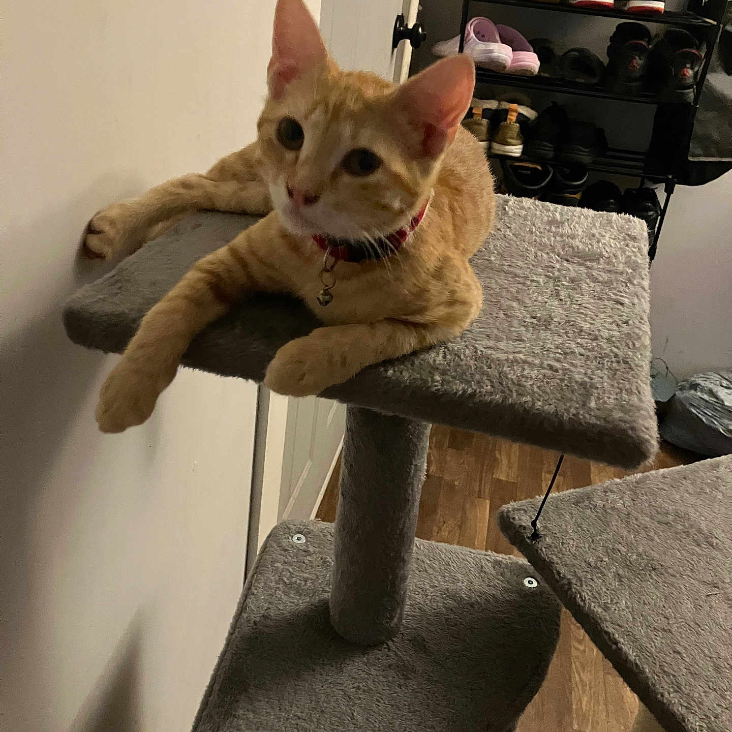 Garfield
