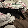 black_cat, cat, quilt, blanket, fabric, bed, cozy, hiding, pet, animal, indoor, tail, floral_pattern, comfort, resting, fur, eyes, soft, warm, sleeping_area