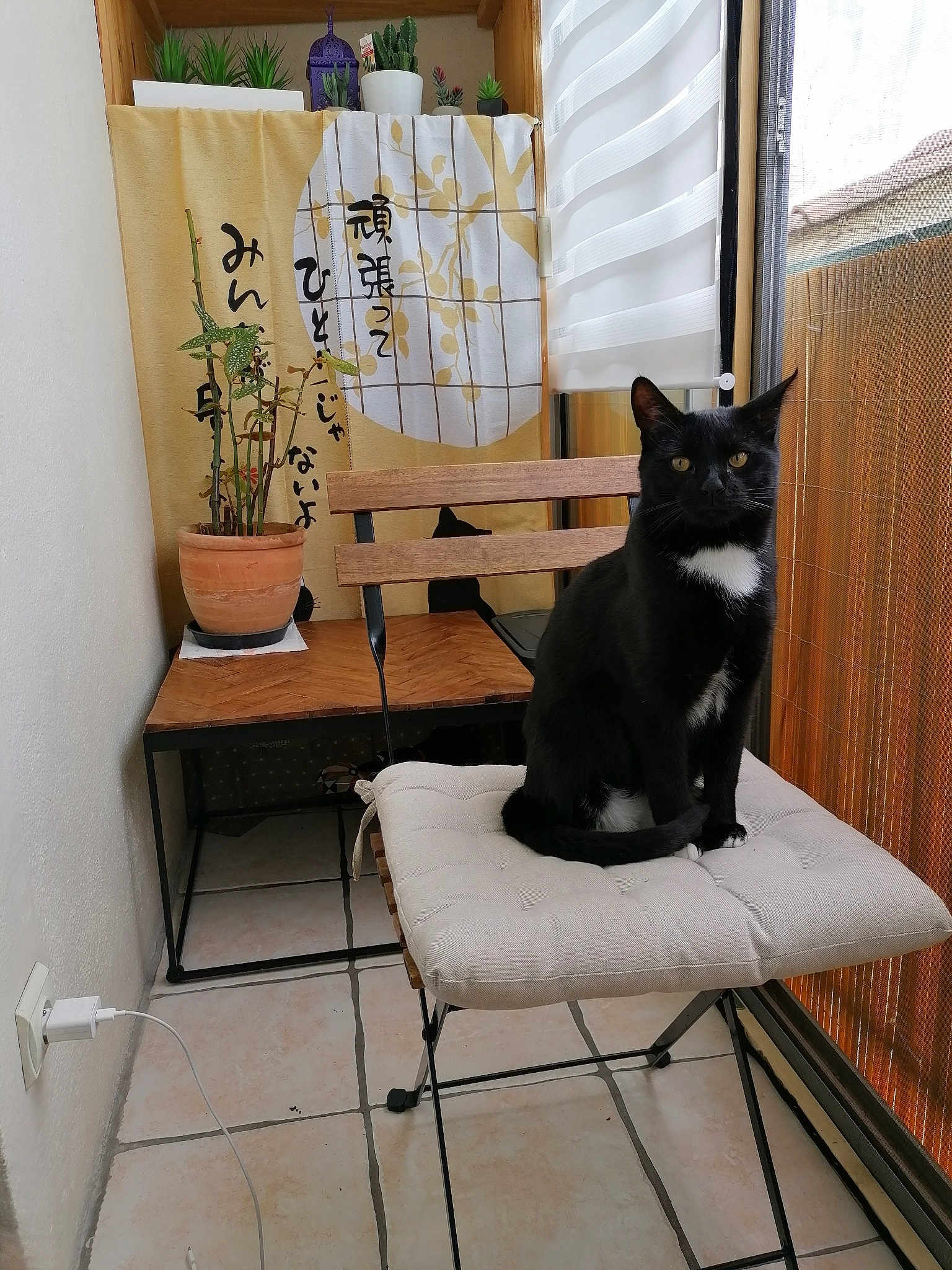 Bagheera