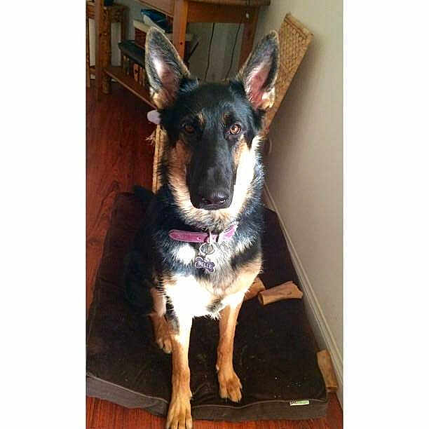 Belle is registered to the contest to win money with this photo: