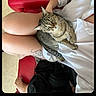 barefoot, casual, cat, comfort, cozy, cup, feline, floor, home, indoor, lap, legs, person, pet, red_chair, relaxed, sitting, tabby_cat, tattoo, white_shirt