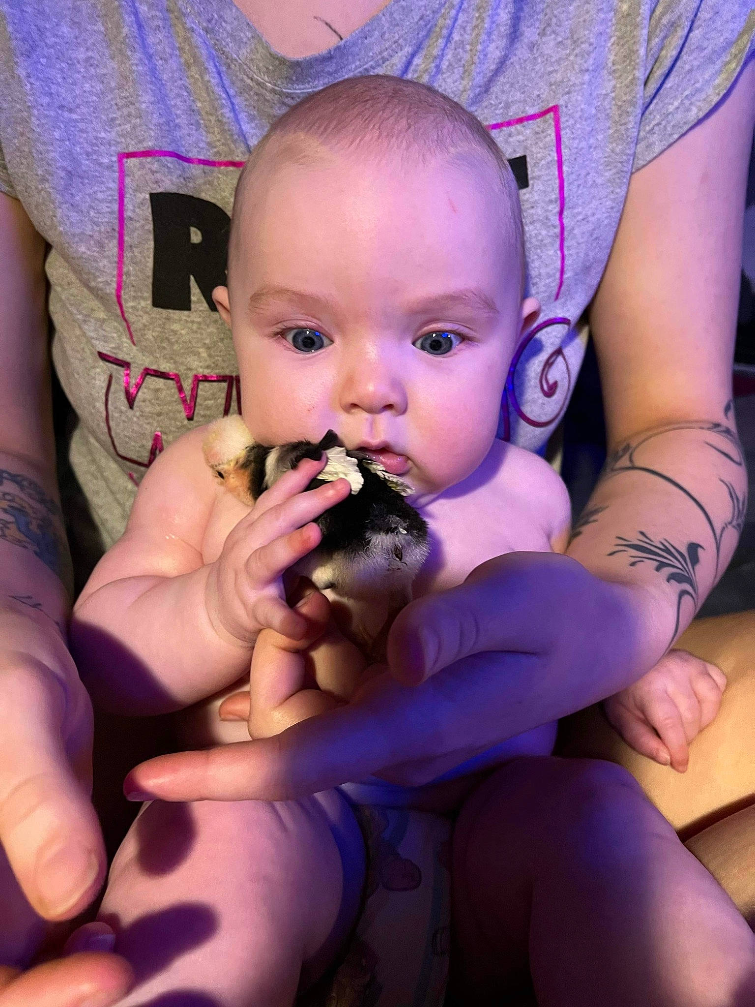 Oakley is registered to the contest to win money with this photo: abdomen, baby, baby_toddler_clothing, cheek, child, eye, eyelash, finger, gesture, happy, mouth, nail, people, person, pink, purple, skin, thumb, toddler, violet