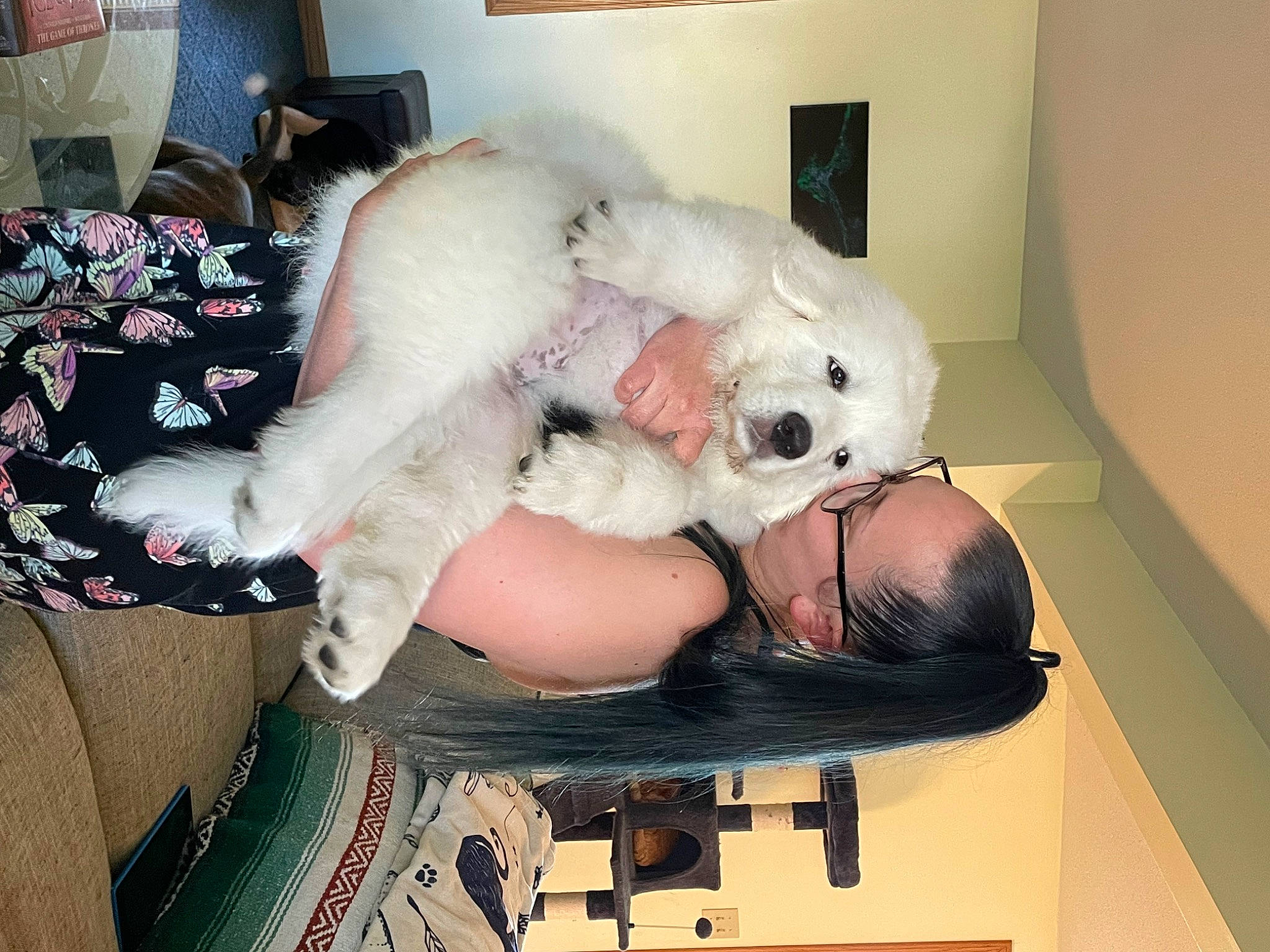 Aries is registered to the contest to win money with this photo: carmine, comfort, event, fur, lap, plush, room, stuffed_toy, toy