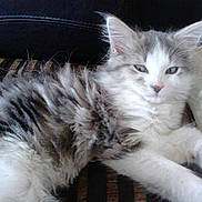 Perle a rejoint le concours — aidez-le/la à gagner de superbes lots !