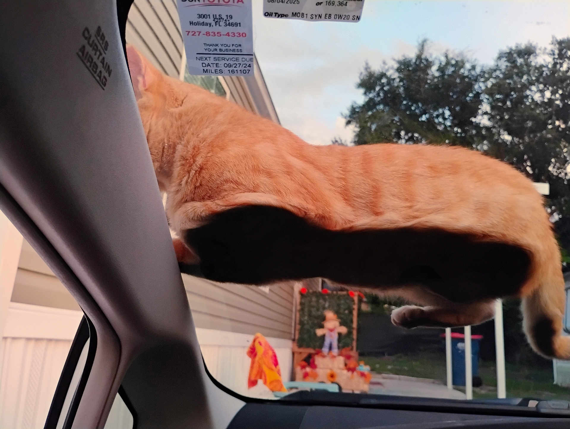 Garfield