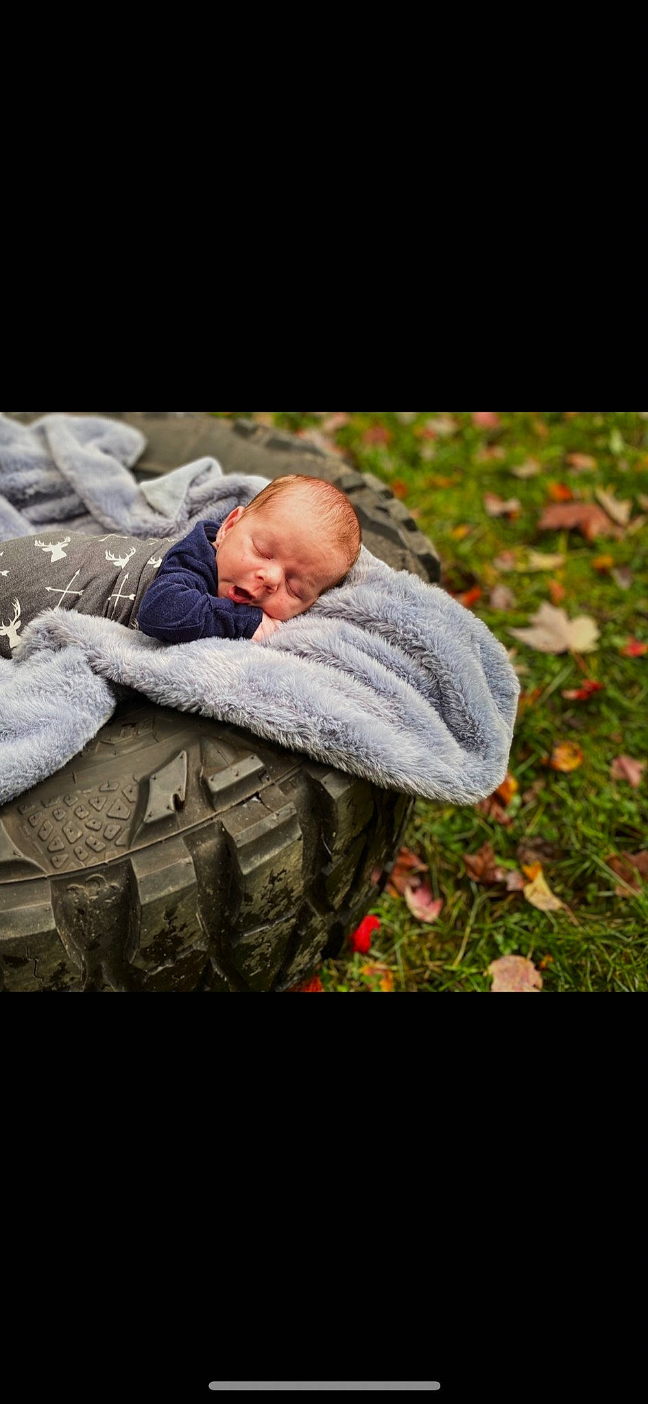 Jameson joined the competition — help win amazing prizes! baby, baby_toddler_clothing, child, comfort, flash_photography, fur, grass, happy, leaf, linens, mammal, nap, people_in_nature, person, plant, portrait_photography, sitting, textile, toddler, wood
