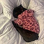 Luna is registered to the contest to win money with this photo: animal, bed, black_dog, comfort, cozy, cute, dog, fur, furry_clothing, indoor, leopard_print, pet, pillows, pink_sweater, relaxed, resting, sleepy, snuggled, soft_texture, white_bedding