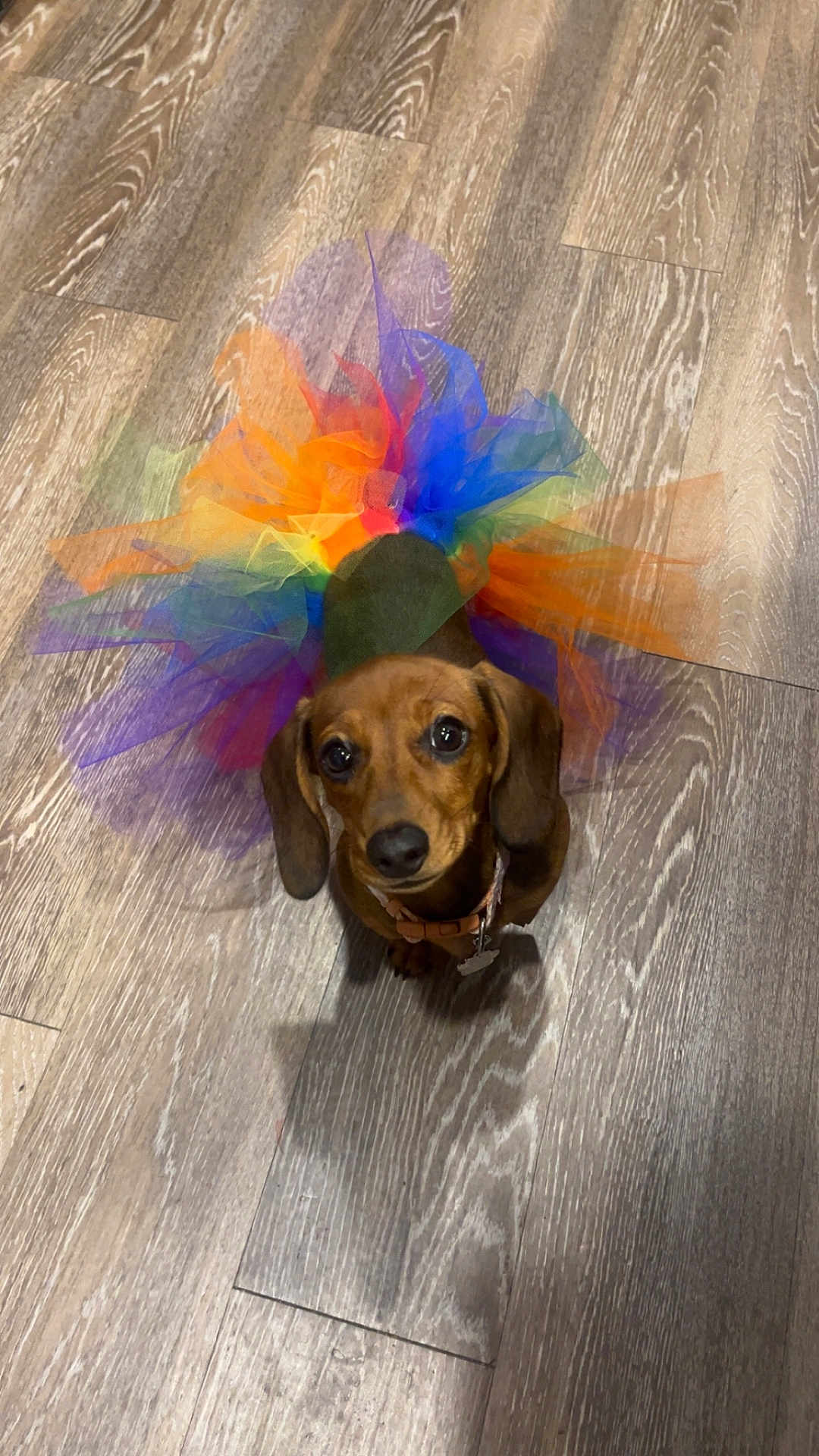 Fancy Rea Baker