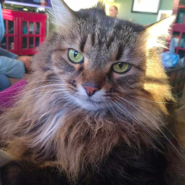 Max