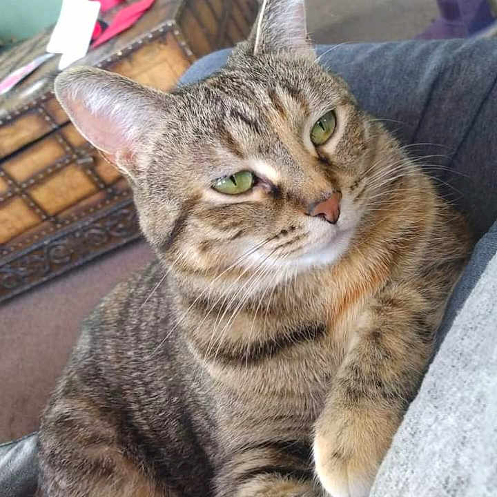 Berniece