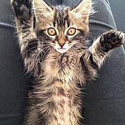 Ina a rejoint le concours — aidez-le/la à gagner de superbes lots !