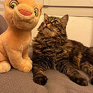 Ina participe au concours pour gagner de l'argent avec cette photo : bed, blanket, cat, close_up, companion, cozy, cuddly, fur, home, indoor, looking_up, pet, plush_toy, portrait, sitting, stuffed_animal, tabby_cat, toy_lion, whiskers, window