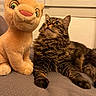 bed, blanket, cat, close_up, companion, cozy, cuddly, fur, home, indoor, looking_up, pet, plush_toy, portrait, sitting, stuffed_animal, tabby_cat, toy_lion, whiskers, window