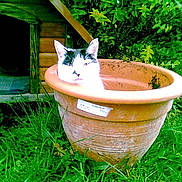 Eddie is registered to the contest to win money with this photo: