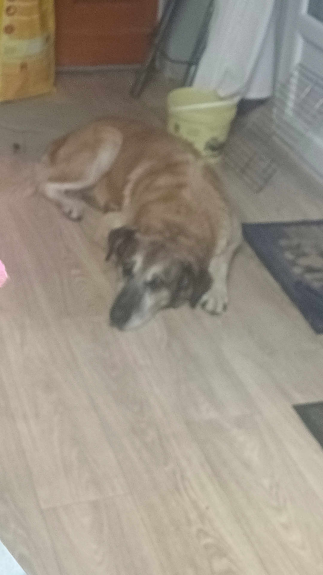 Tyson