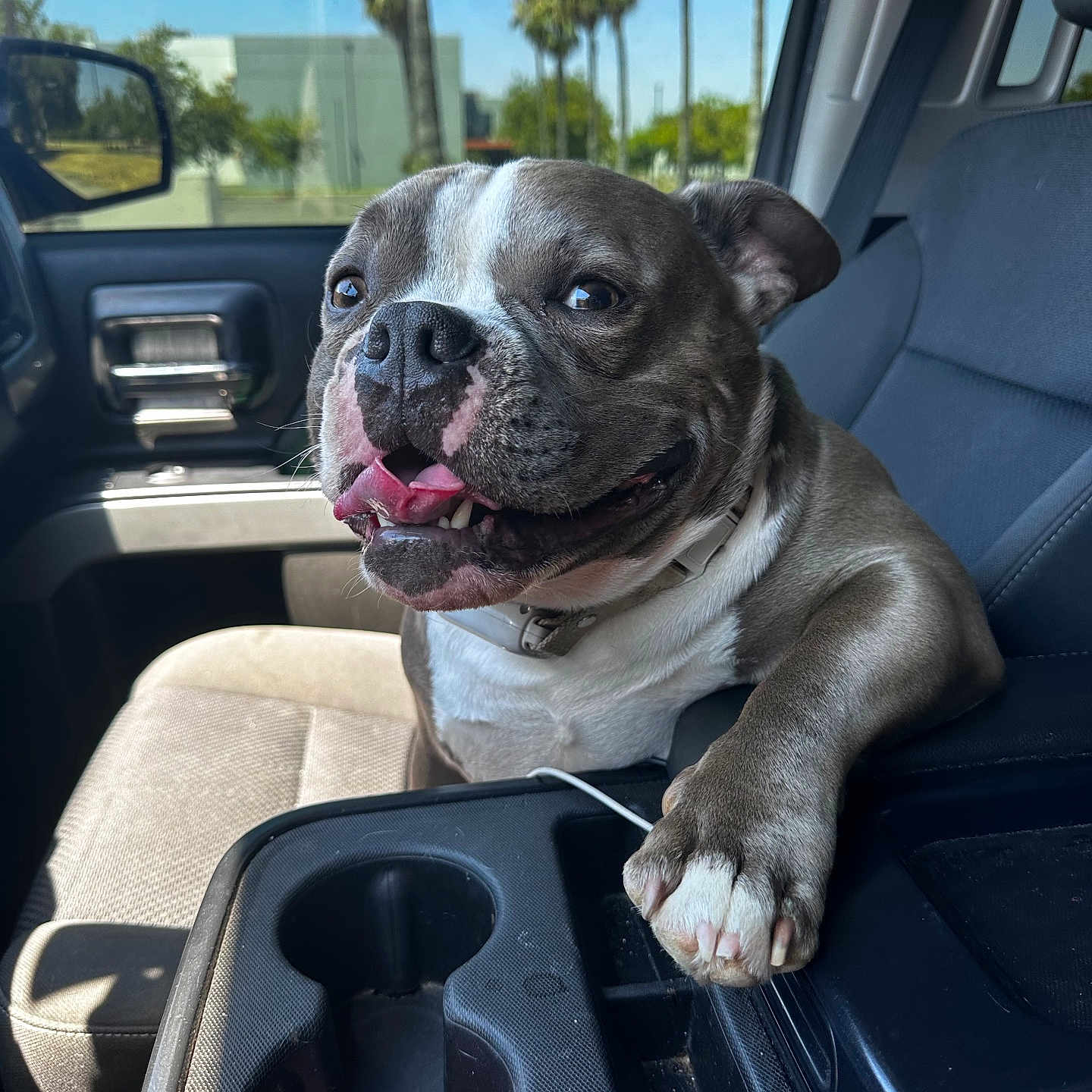Harley Arellano