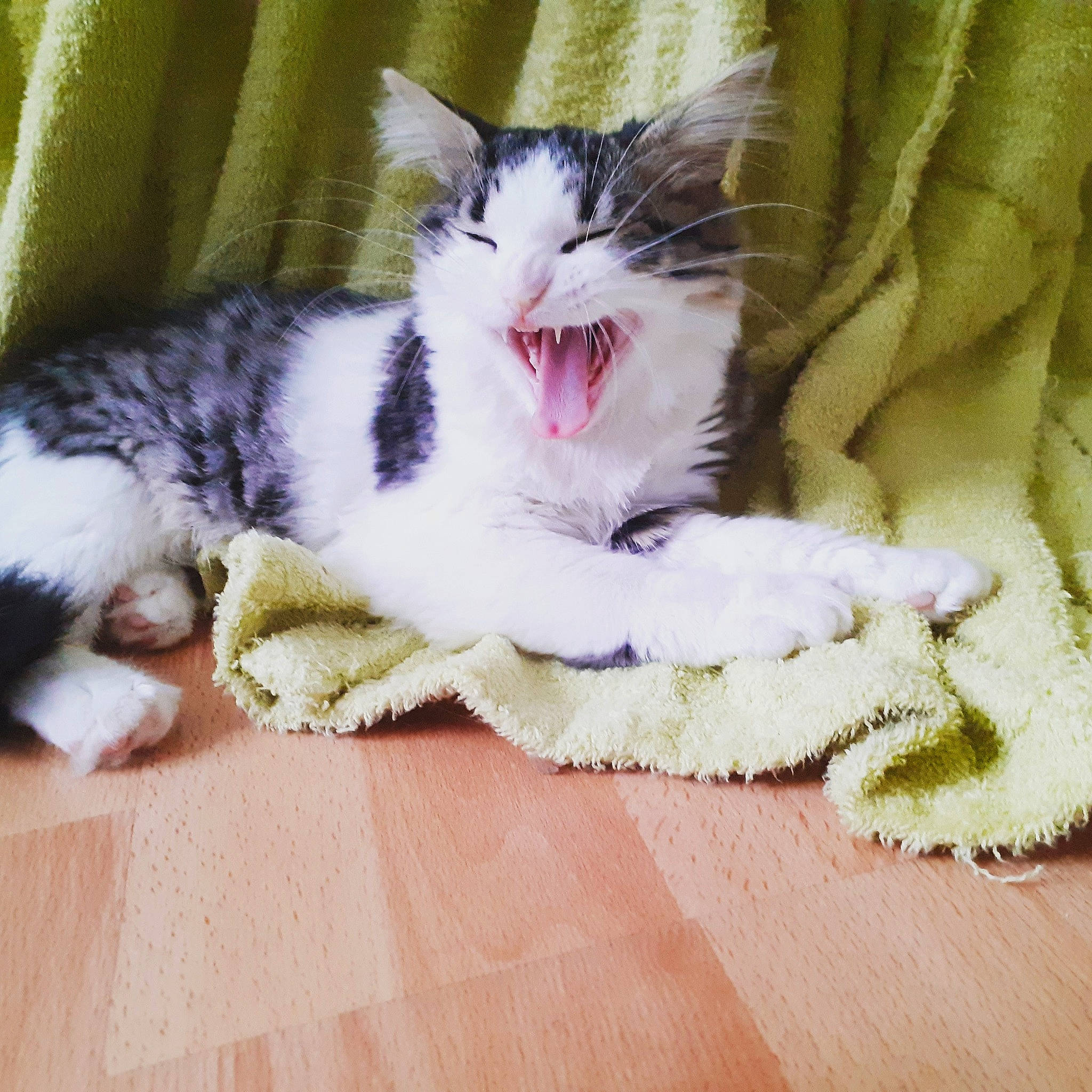 Max