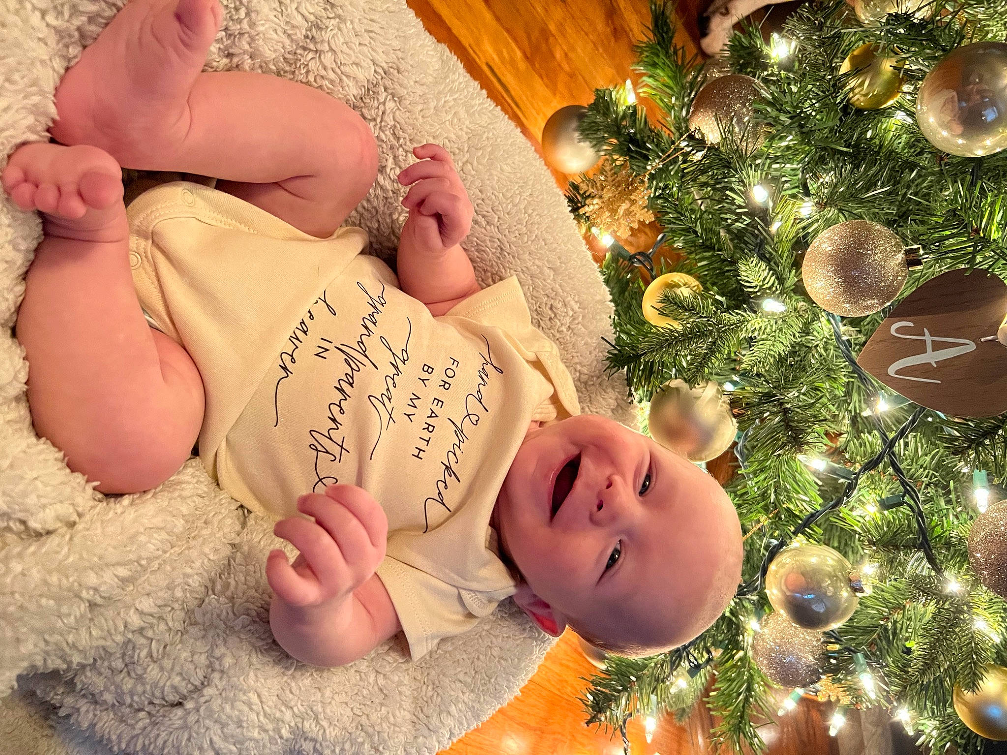 Bently is registered to the contest to win money with this photo: baby, baby_toddler_clothing, christmas_ornament, christmas_tree, dress, event, foot, grass, happy, holiday_ornament, human_body, human_leg, nail, ornament, people_in_nature, person, thigh, thumb, toddler, tree
