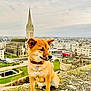 animal, architecture, building, car, cathedral, cityscape, cloudy, collar, dog, grass, historic_building, outdoor, park, people, pet, road, shiba_inu, sky, stone_ledge, urban