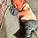 Kohen