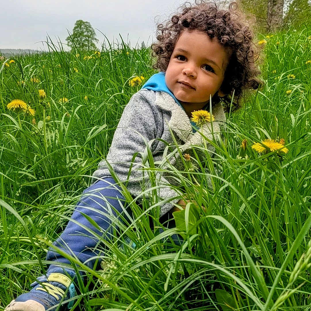Malik