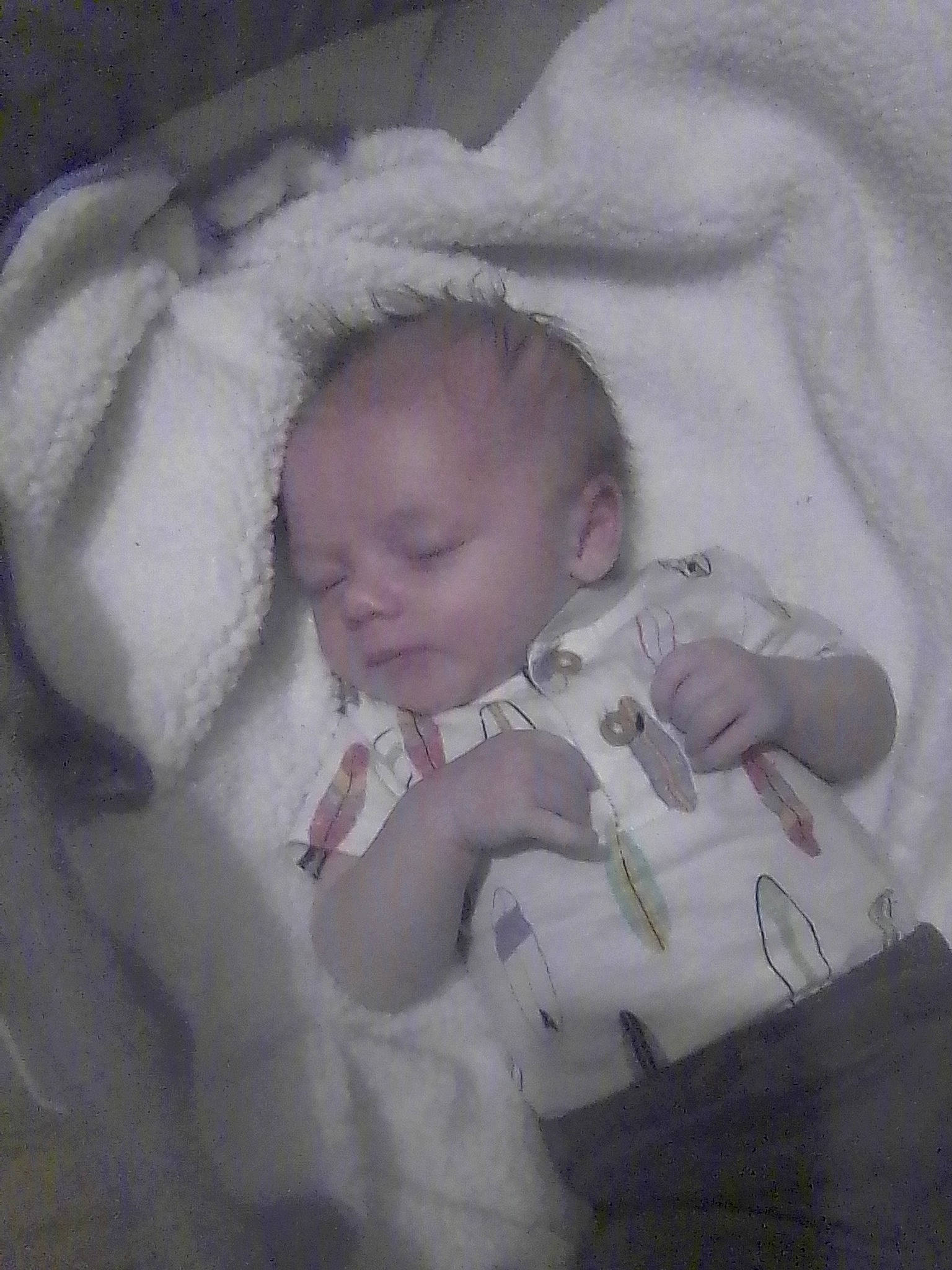 Lucien joined the competition — help win amazing prizes! baby, baby_products, baby_sleeping, baby_toddler_clothing, cheek, child, comfort, eye, eyebrow, fur, iris, linens, monochrome, person, sleeve, toddler, wool