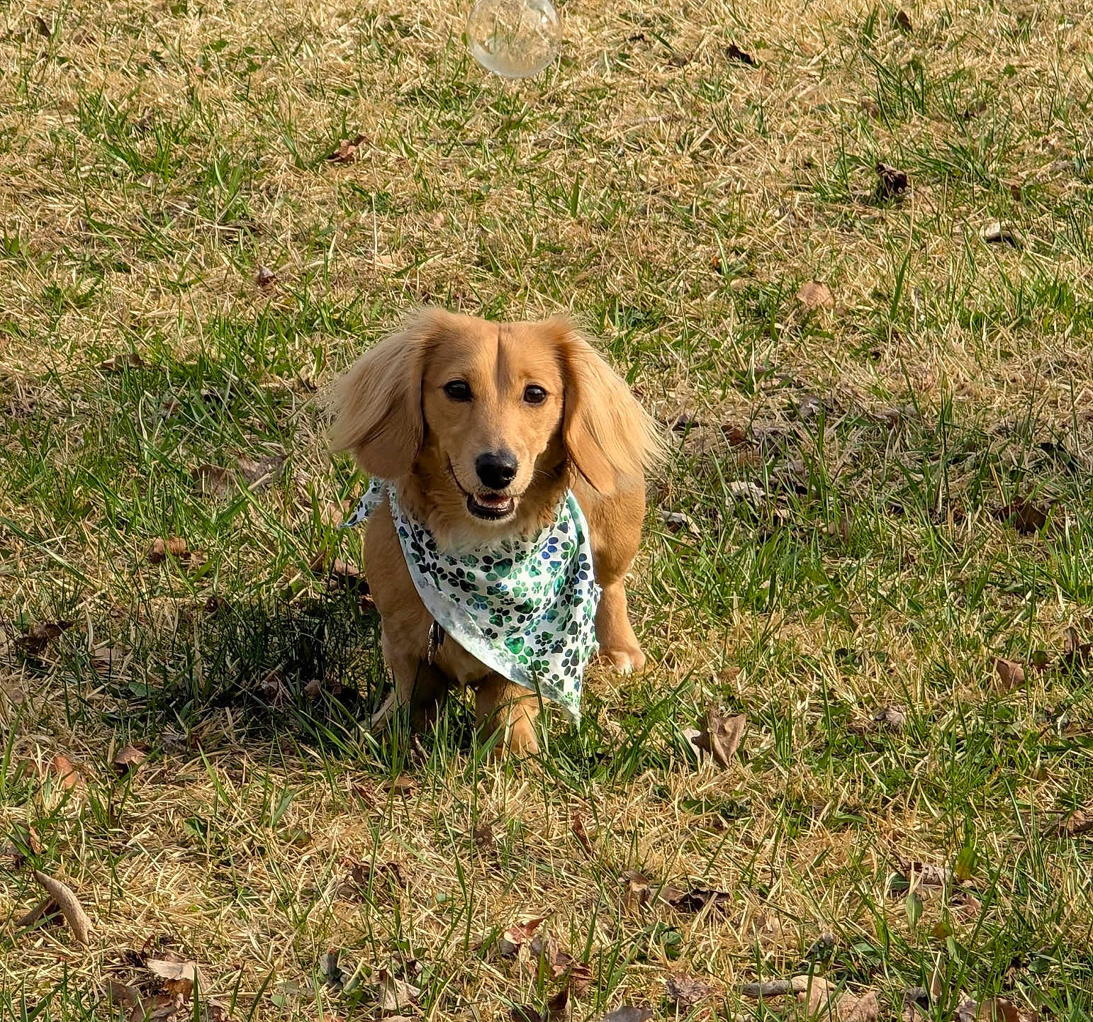 Reggie