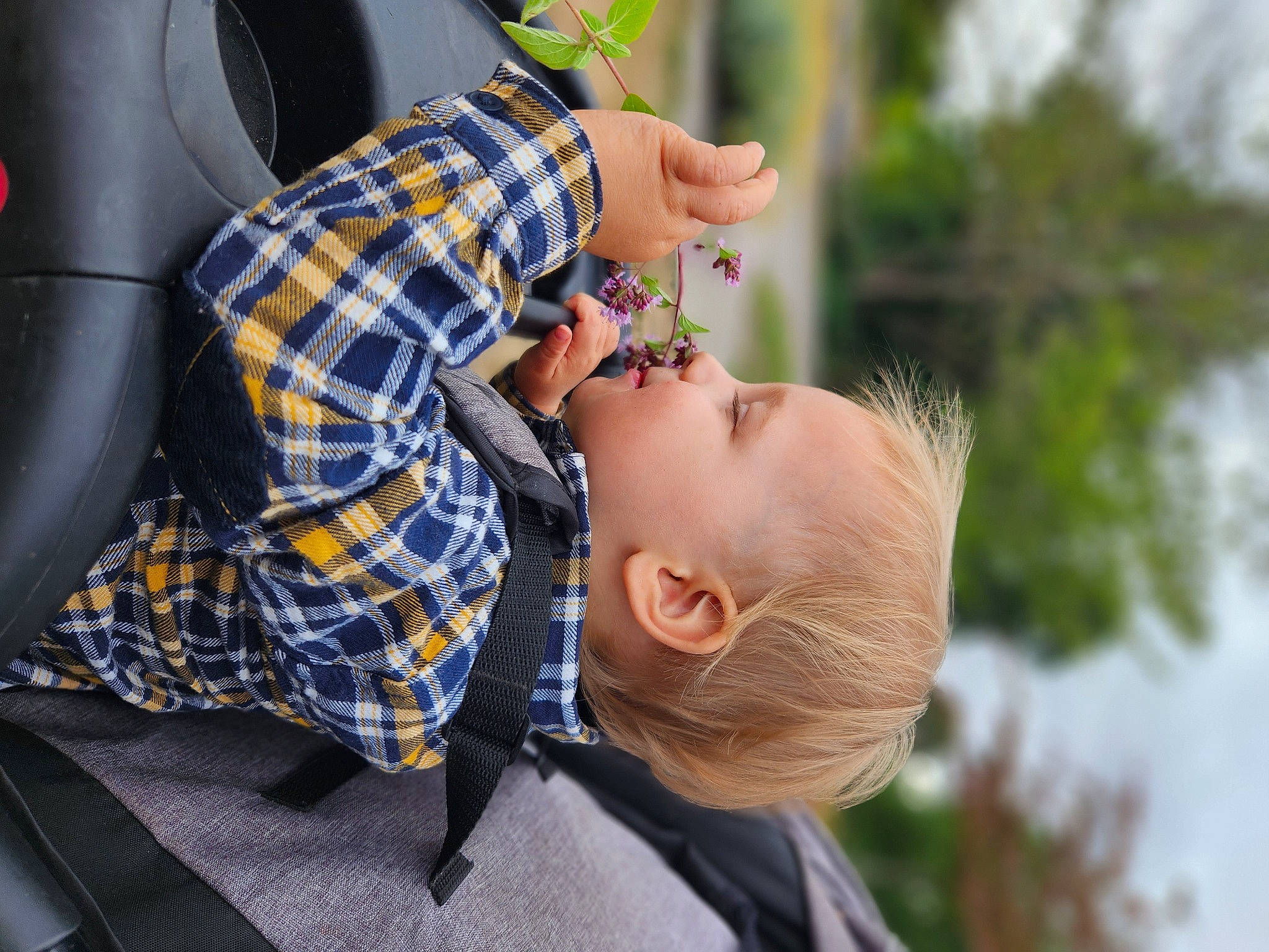 Maxems a rejoint le concours — aidez-le/la à gagner de superbes lots ! automotive_design, baby, car, child, comfort, eyewear, fun, grass, happy, leisure, pattern, person, plaid, plant, sitting, sunglasses, tartan, toddler, tree, vehicle