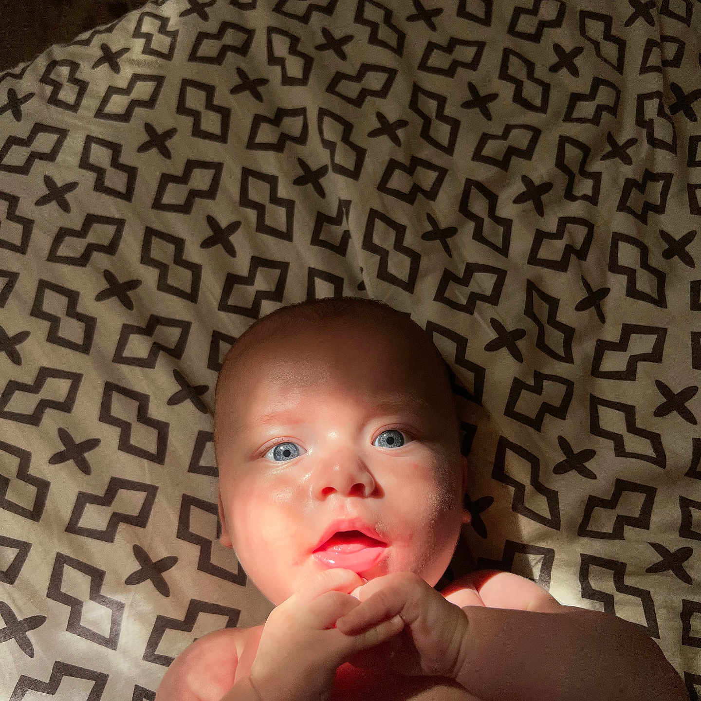 Lino a rejoint le concours — aidez-le/la à gagner de superbes lots ! baby, blanket, blue_eyes, child, closeup, cute, expression, face, hands, human, indoors, infant, light, lying_down, pattern, portrait, shadow, skin, soft_light, young