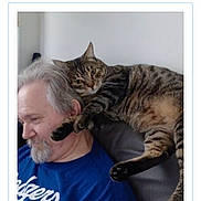 Cooper joined the competition — help win amazing prizes! cat, tabby_cat, man, person, beard, gray_hair, blue_shirt, shoulder, lap, indoor, portrait, pet, animal, relaxed, funny, cuddling, furniture, chair, website, contest