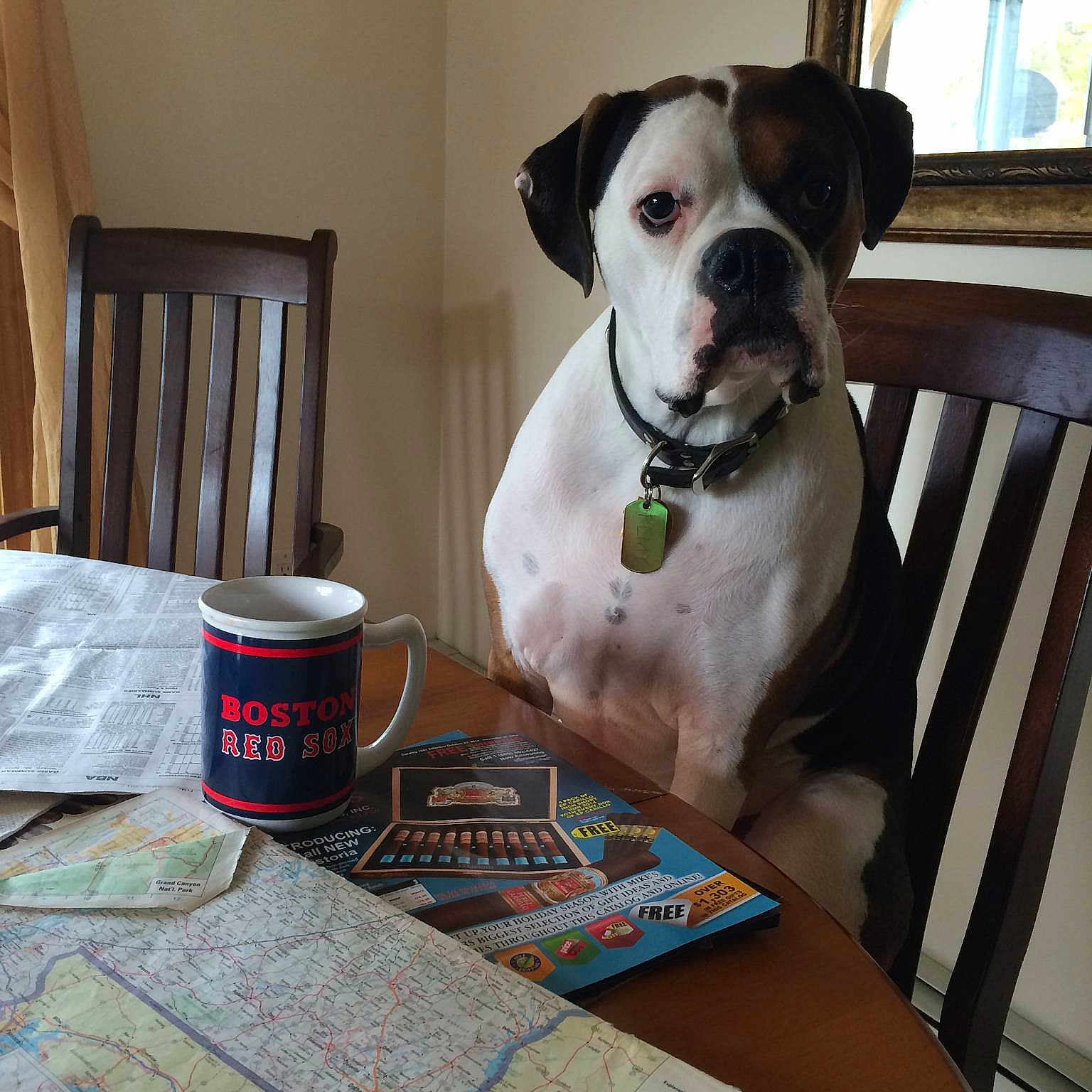 Remy joined the competition — help win amazing prizes!