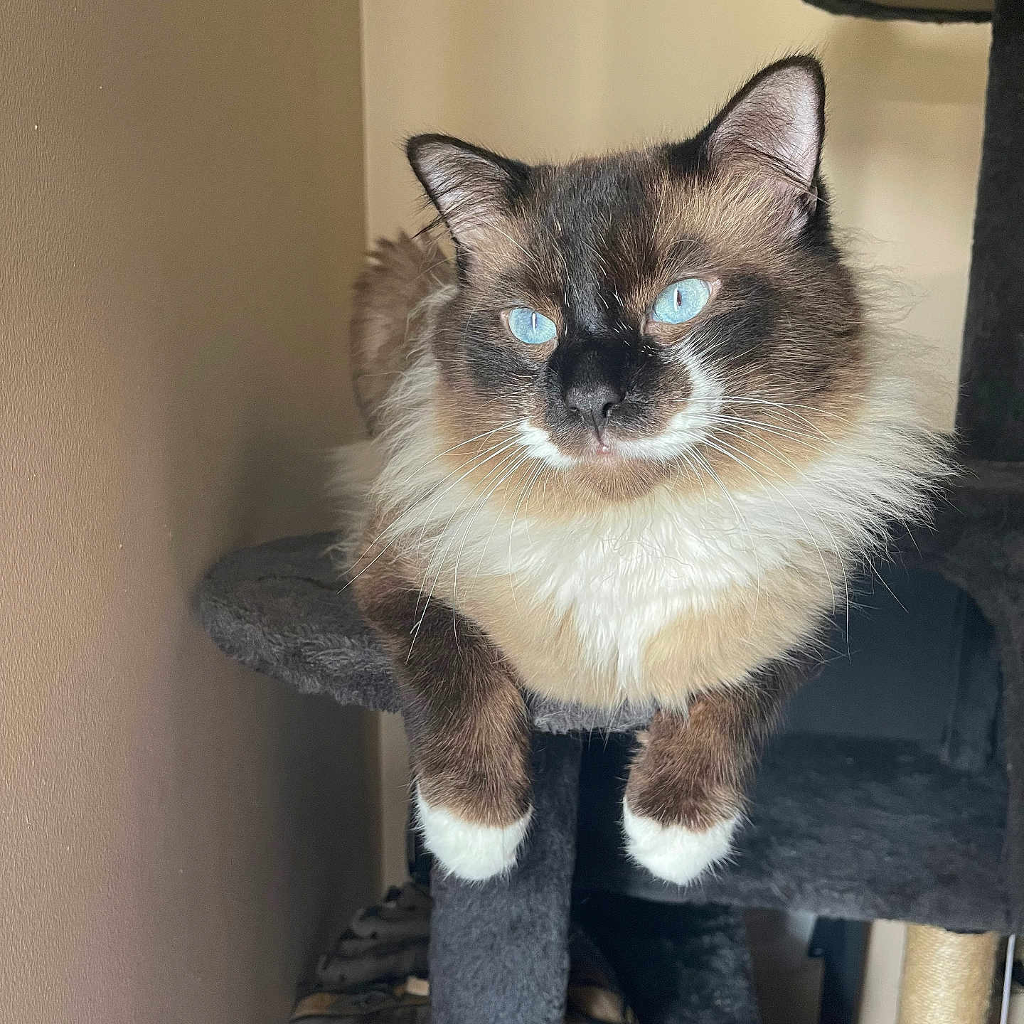 Milo