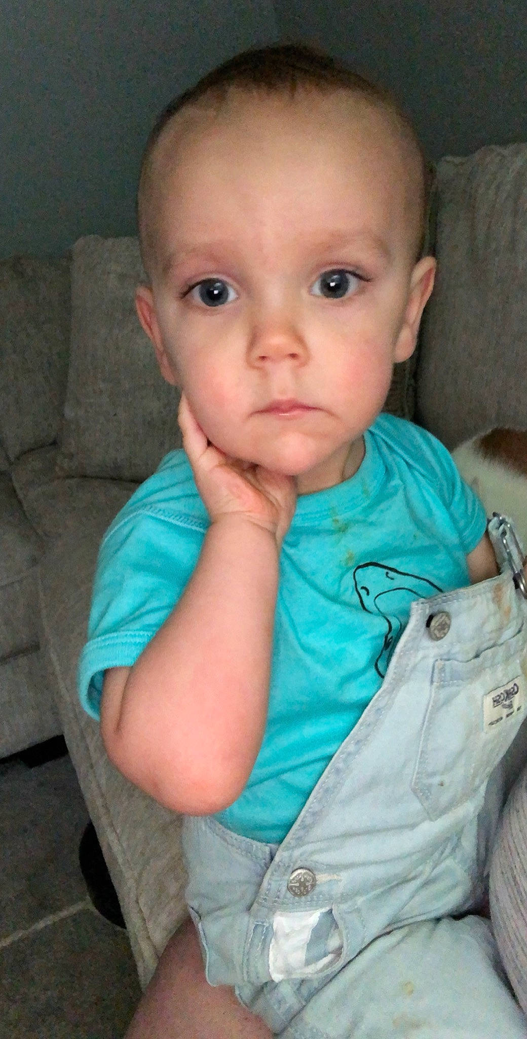 Cole joined the competition — help win amazing prizes! baby, cheek, child, chin, eye, eyebrow, face, finger, forehead, head, iris, lip, mouth, nose, person, sitting, skin, smile, toddler, turquoise