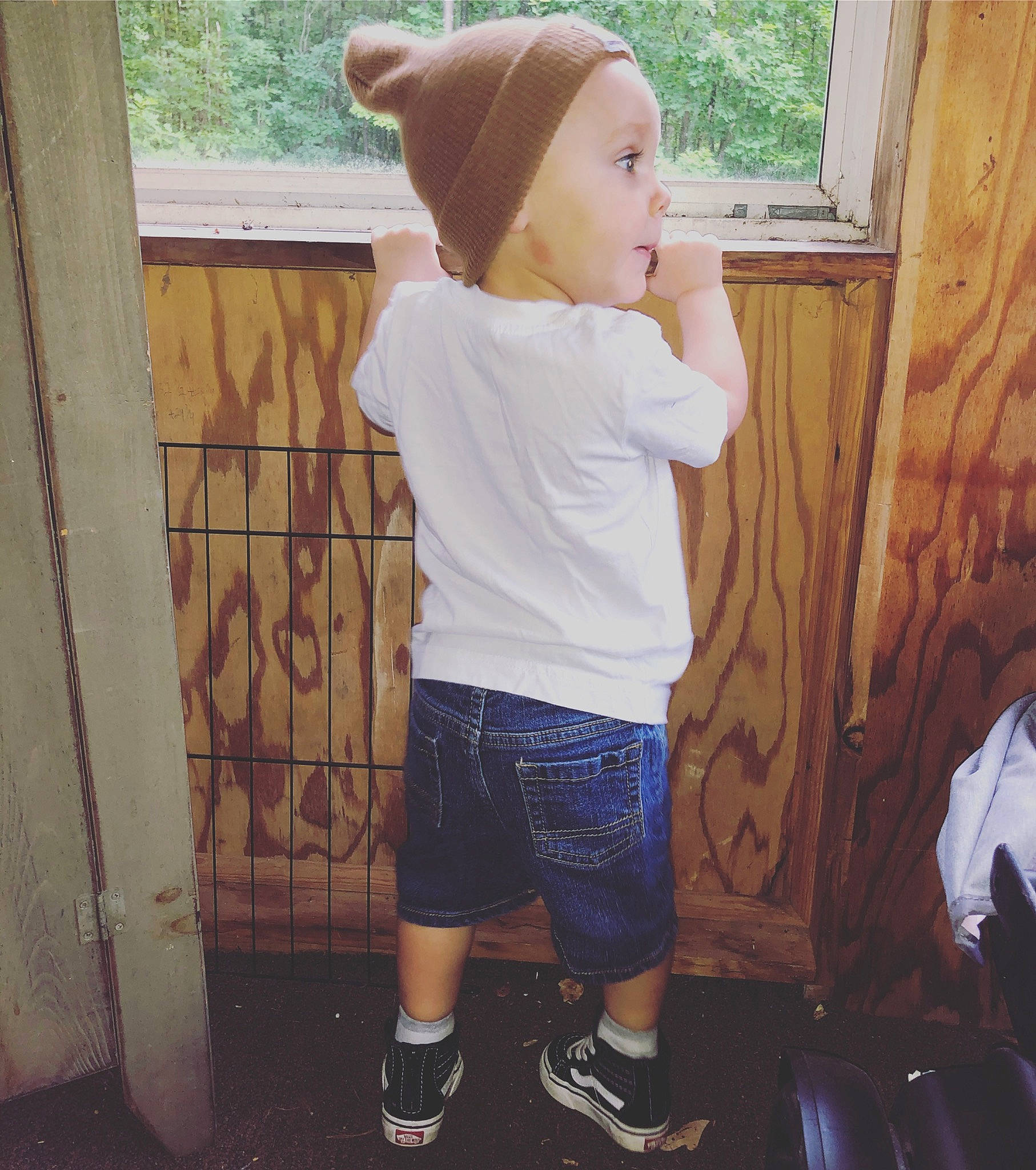 Cole joined the competition — help win amazing prizes! arm, blond, child, cool, footwear, headgear, jeans, joint, leg, person, shoe, shorts, shoulder, sleeve, standing, summer, t_shirt, toddler, vacation, waist