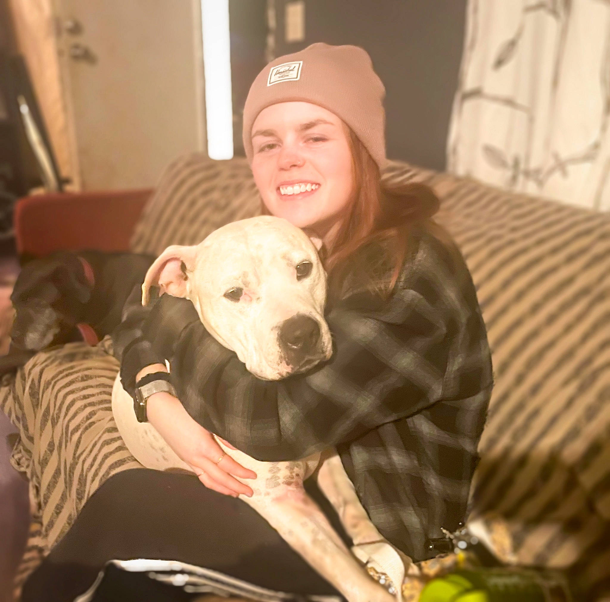 Whitey joined the competition — help win amazing prizes! baseball_cap, canidae, cap, carnivore, comfort, companion_dog, couch, dalmatian, dog, dog_breed, fawn, fun, fur, guard_dog, happy, mammal, selfie, smile, sporting_group, working_animal