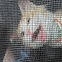 Bugg joined the competition — help win amazing prizes! cat, mesh_screen, pet, animal, close_up, mouth_open, curious, indoor, white_and_orange, feline, cage_like, grid_pattern, fur, whiskers, face, ears, collar, domestic_animal, playful, expression